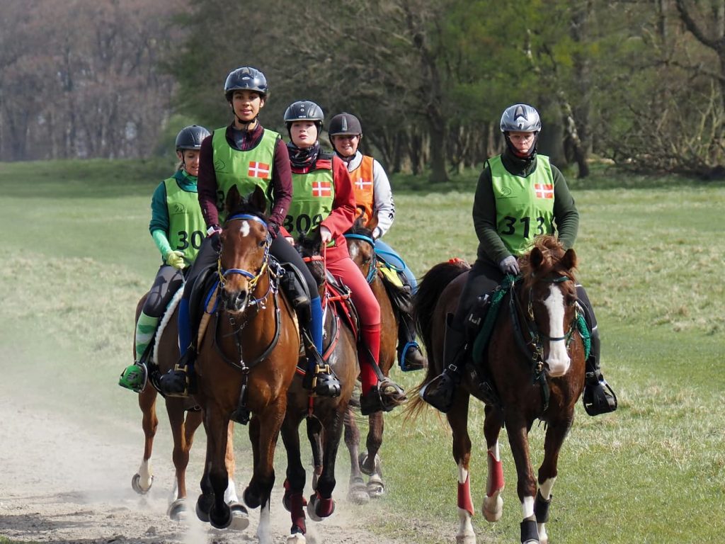 Sports betting and the life